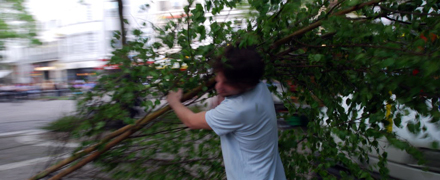 Maibaum-Aktion 2011