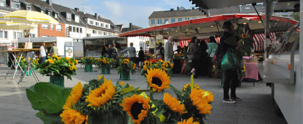 Eröffnung Ökomarkt Maternusplatz