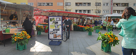 Eröffnung Ökomarkt Maternusplatz